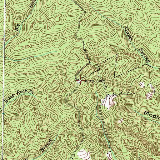 Topographic Map of Laney Cemetery, VA