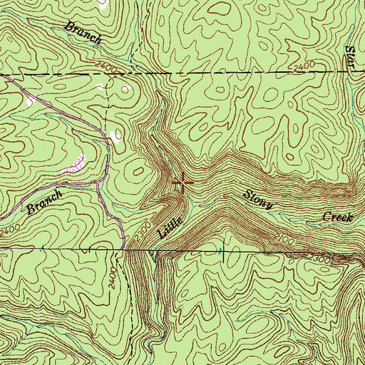 Topographic Map of Laurel Branch, VA