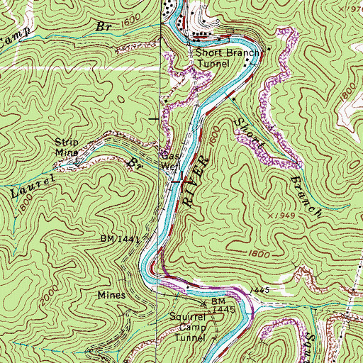 Topographic Map of Laurel Branch, VA