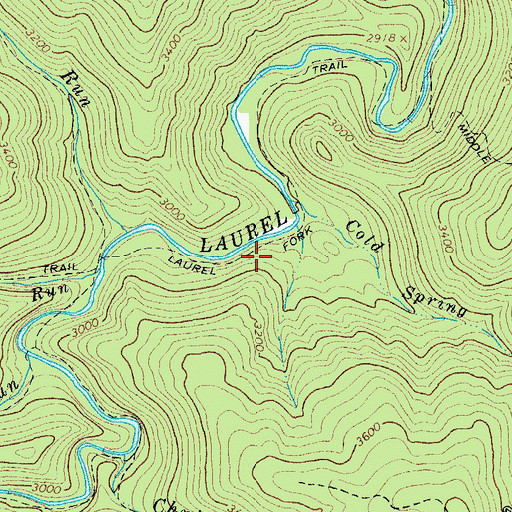 Topographic Map of Laurel Fork Trail, VA