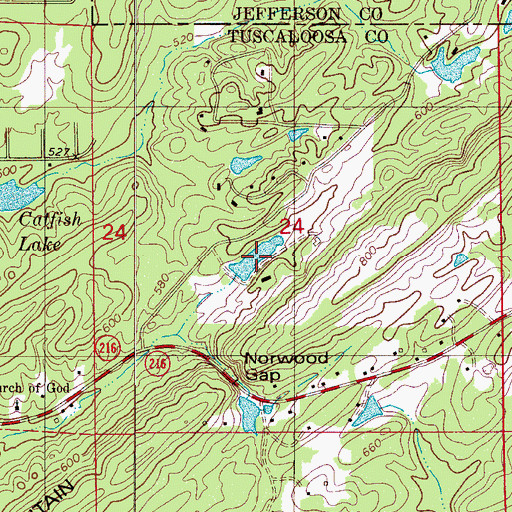 Topographic Map of Johnson Lake, AL