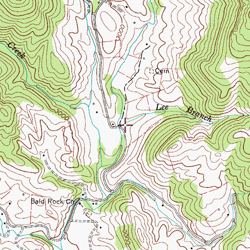 Topographic Map of Lee Branch, VA