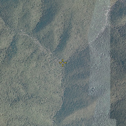 Aerial/Satellite Image of Left Prong Ramseys Draft, VA