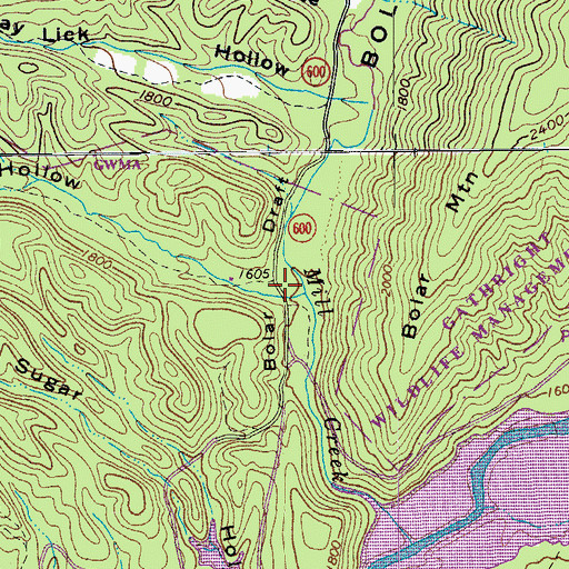 Topographic Map of Lemon Hollow, VA