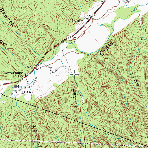 Topographic Map of Leyman Hollow, VA