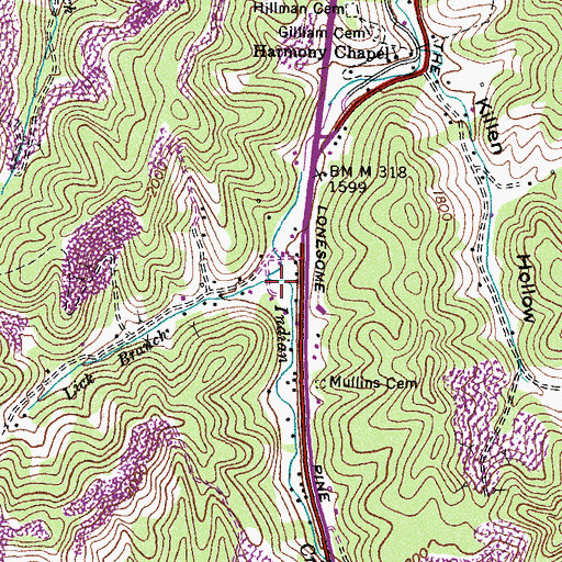 Topographic Map of Lick Branch, VA