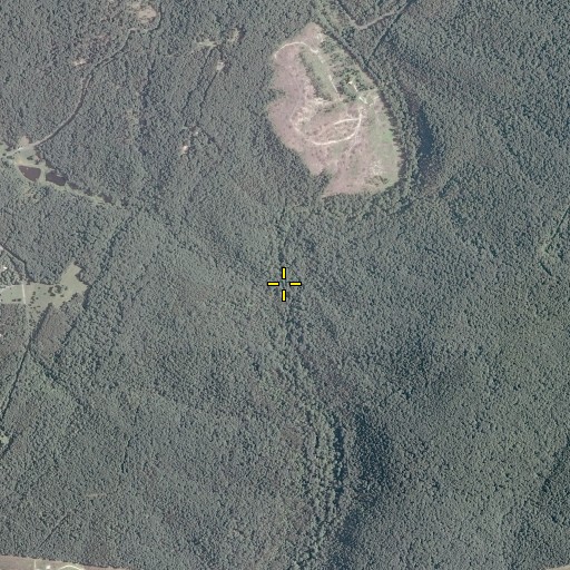 Aerial/Satellite Image of Lick Run, VA
