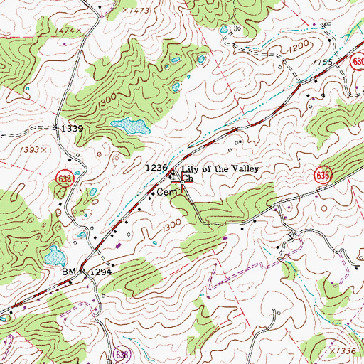 Topographic Map of Lily of the Valley Church, VA