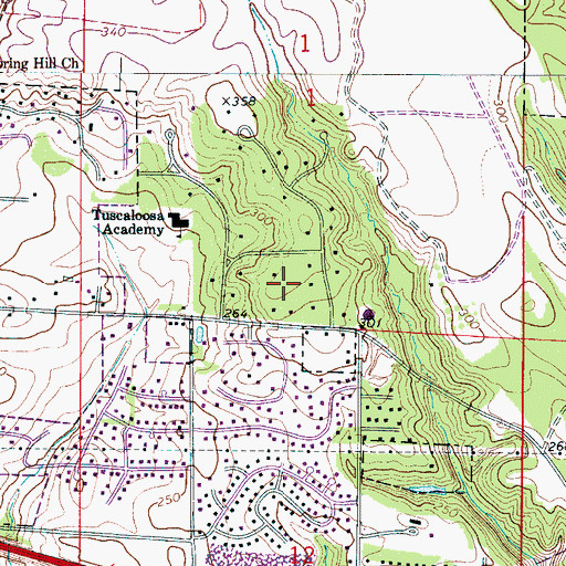 Topographic Map of Ridgeland, AL