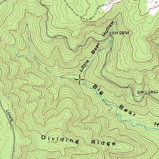 Topographic Map of Little Bear Hollow, VA