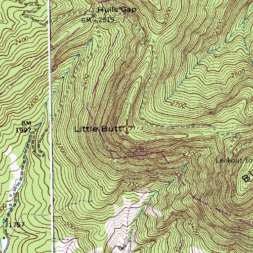 Topographic Map of Little Butt, VA