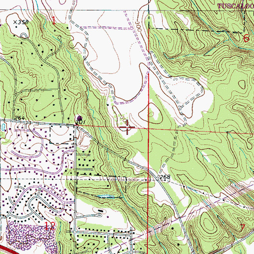 Topographic Map of Riverchase, AL