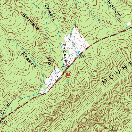 Topographic Map of Little Double Branch, VA