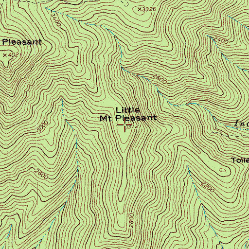 Topographic Map of Little Mount Pleasant, VA