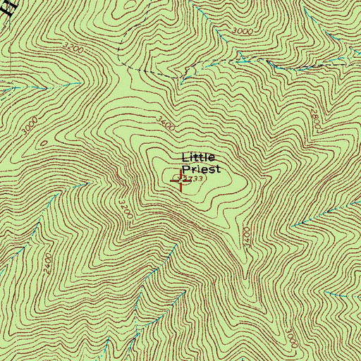 Topographic Map of Little Priest, VA