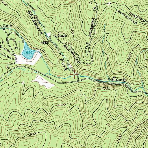 Topographic Map of Little Skidmore Fork, VA