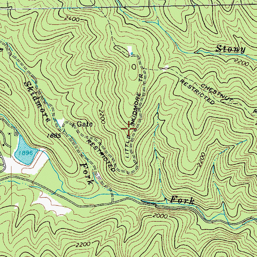 Topographic Map of Little Skidmore Trail, VA