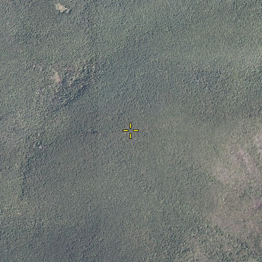 Aerial/Satellite Image of Lone Pine Peak, VA