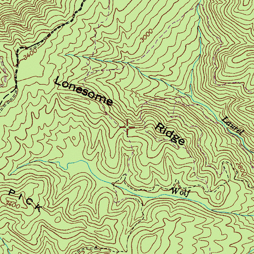 Topographic Map of Lonesome Ridge, VA