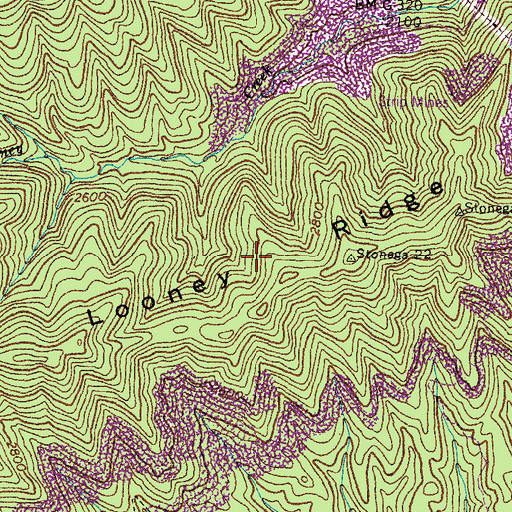 Topographic Map of Looney Ridge, VA