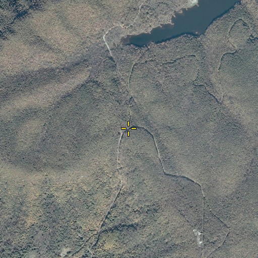 Aerial/Satellite Image of Low Gap, VA