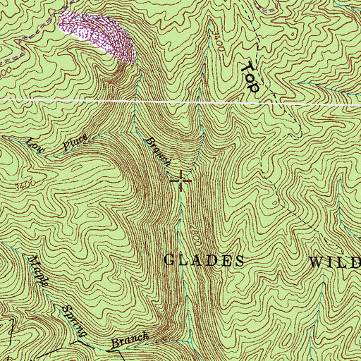 Topographic Map of Low Place Branch, VA