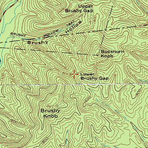 Topographic Map of Lower Brushy Gap, VA