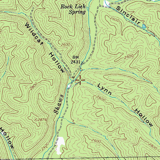 Topographic Map of Lynn Hollow, VA