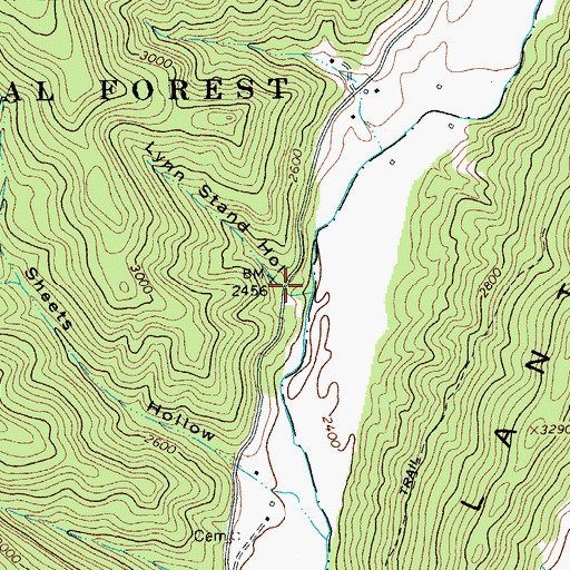 Topographic Map of Lynn Stand Hollow, VA