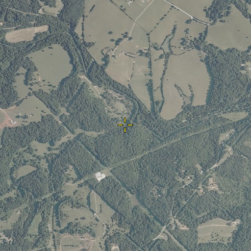 Aerial/Satellite Image of Maple Run, VA