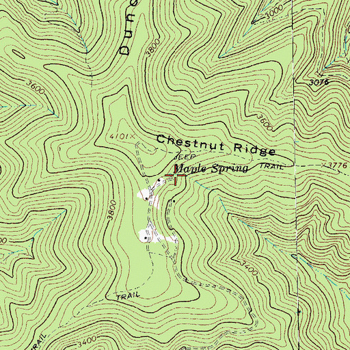 Topographic Map of Maple Spring, VA