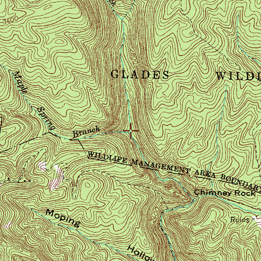 Topographic Map of Maple Spring Branch, VA