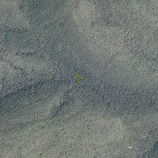 Aerial/Satellite Image of Maple Spring Run, VA