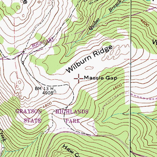 Topographic Map of Massie Gap, VA