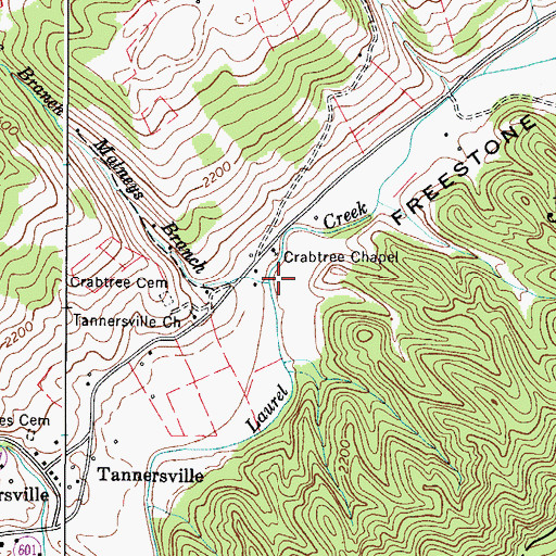 Topographic Map of Matneys Branch, VA