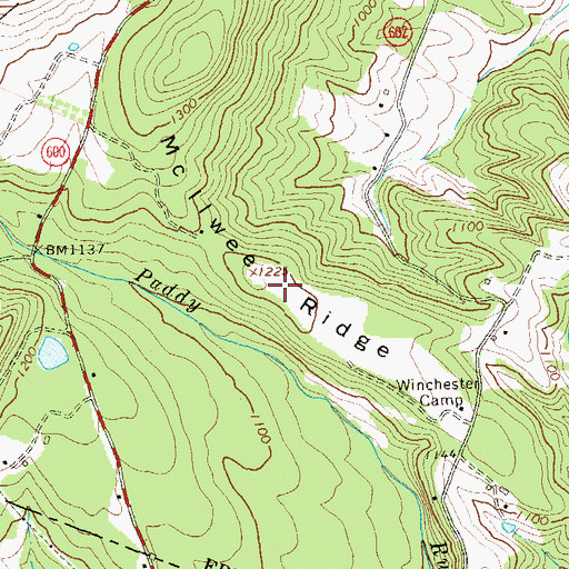 Topographic Map of McIiwee Ridge, VA
