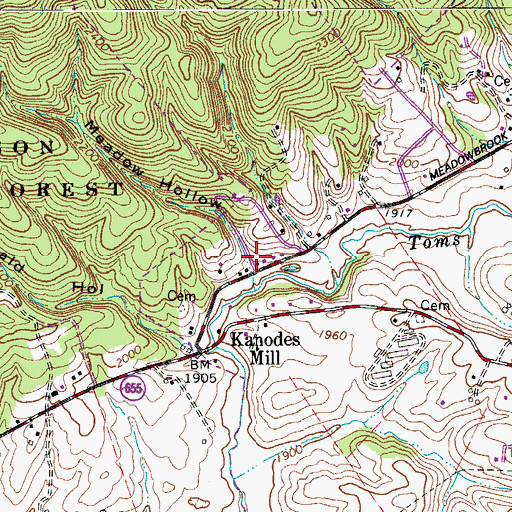Topographic Map of Meadow Hollow, VA