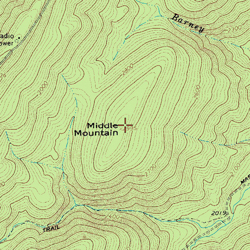 Topographic Map of Middle Mountain, VA