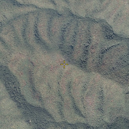 Aerial/Satellite Image of Middle Mountain, VA