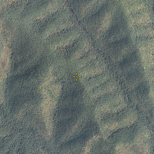 Aerial/Satellite Image of Middle Ridge, VA
