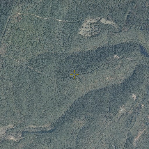 Aerial/Satellite Image of Middle Ridge, VA