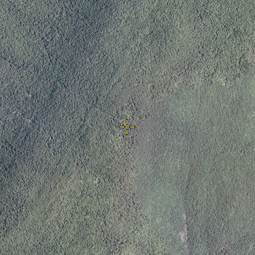 Aerial/Satellite Image of Mill Mountain, VA
