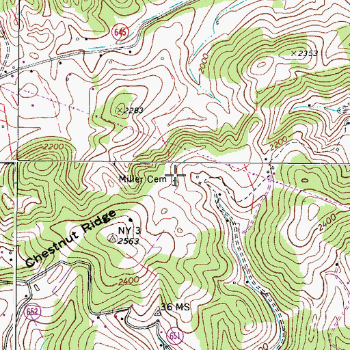 Topographic Map of Miller Cemetery, VA
