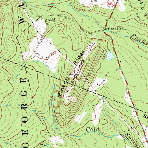 Topographic Map of Mineral Ridge, VA