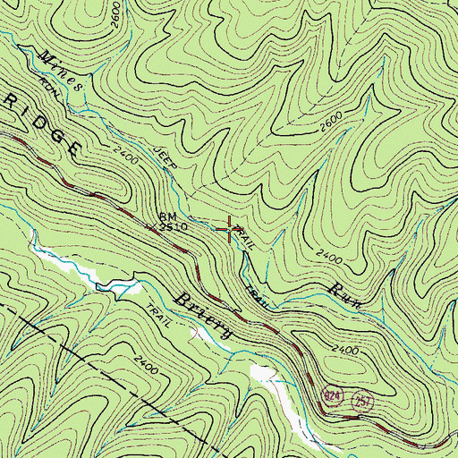 Topographic Map of Mines Run Trail, VA