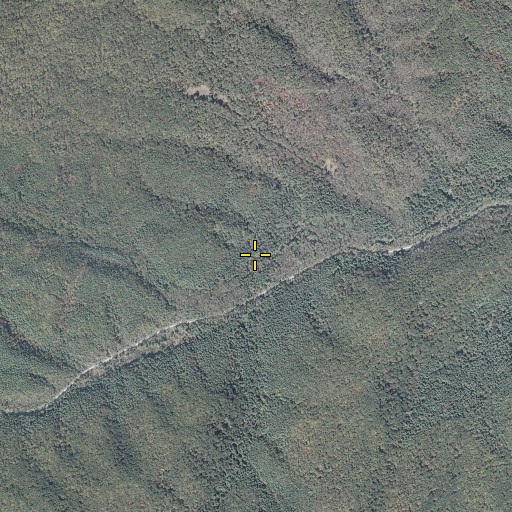 Aerial/Satellite Image of Mitchell Branch, VA