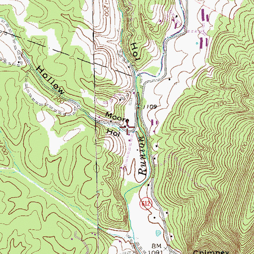 Topographic Map of Moore Hollow, VA