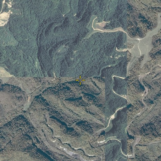 Aerial/Satellite Image of Mud Lick, VA