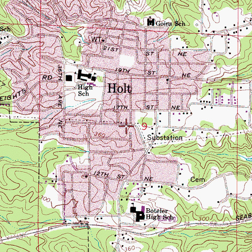 Topographic Map of South Holt, AL