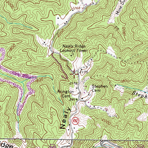 Topographic Map of Nealy Ridge, VA